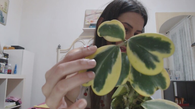 LilyR's Streamate show and profile