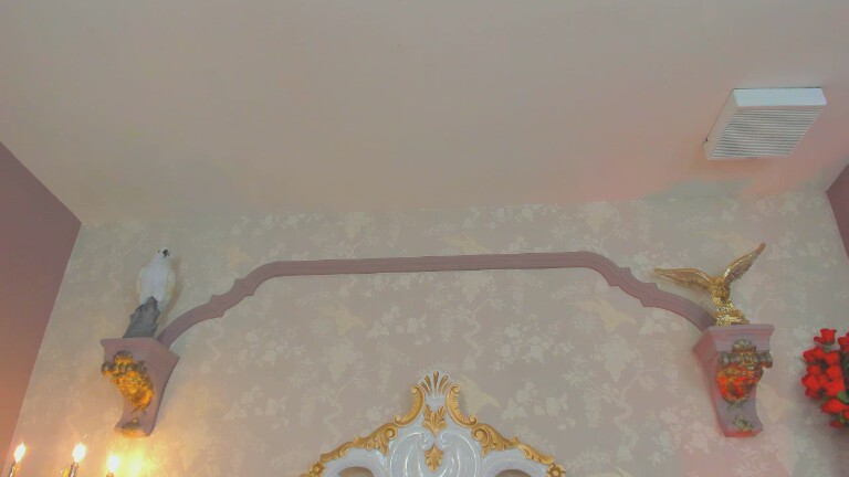 ZuzanHoll's Streamate show and profile